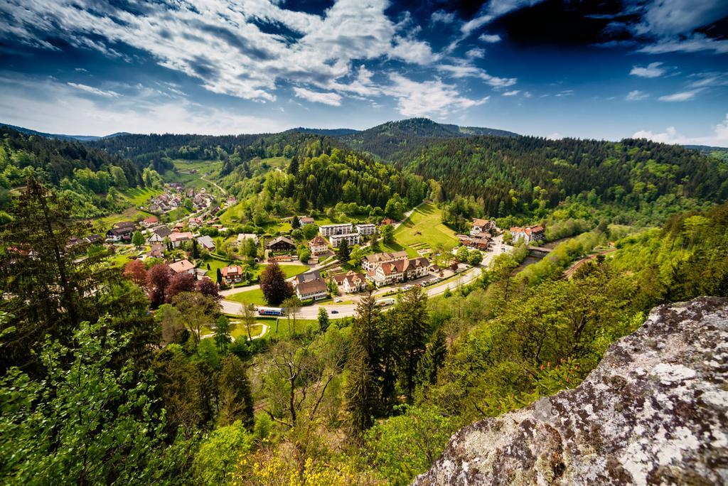 Holzschuhs Schwarzwaldhotel Байерсброн Екстериор снимка