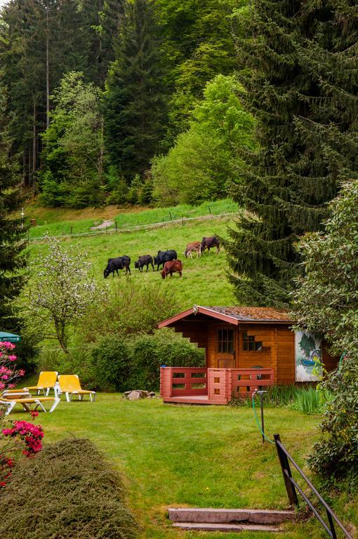 Holzschuhs Schwarzwaldhotel Байерсброн Екстериор снимка